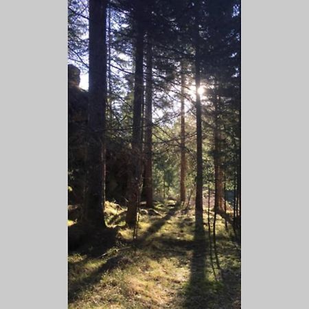 Gemuetliches Ferienhaus Am Waldrand Tröpolach Zewnętrze zdjęcie