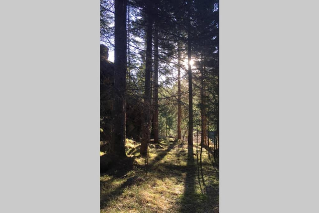 Gemuetliches Ferienhaus Am Waldrand Tröpolach Zewnętrze zdjęcie